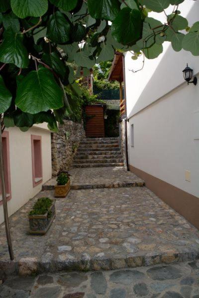Villa Scandik أوهغيد المظهر الخارجي الصورة